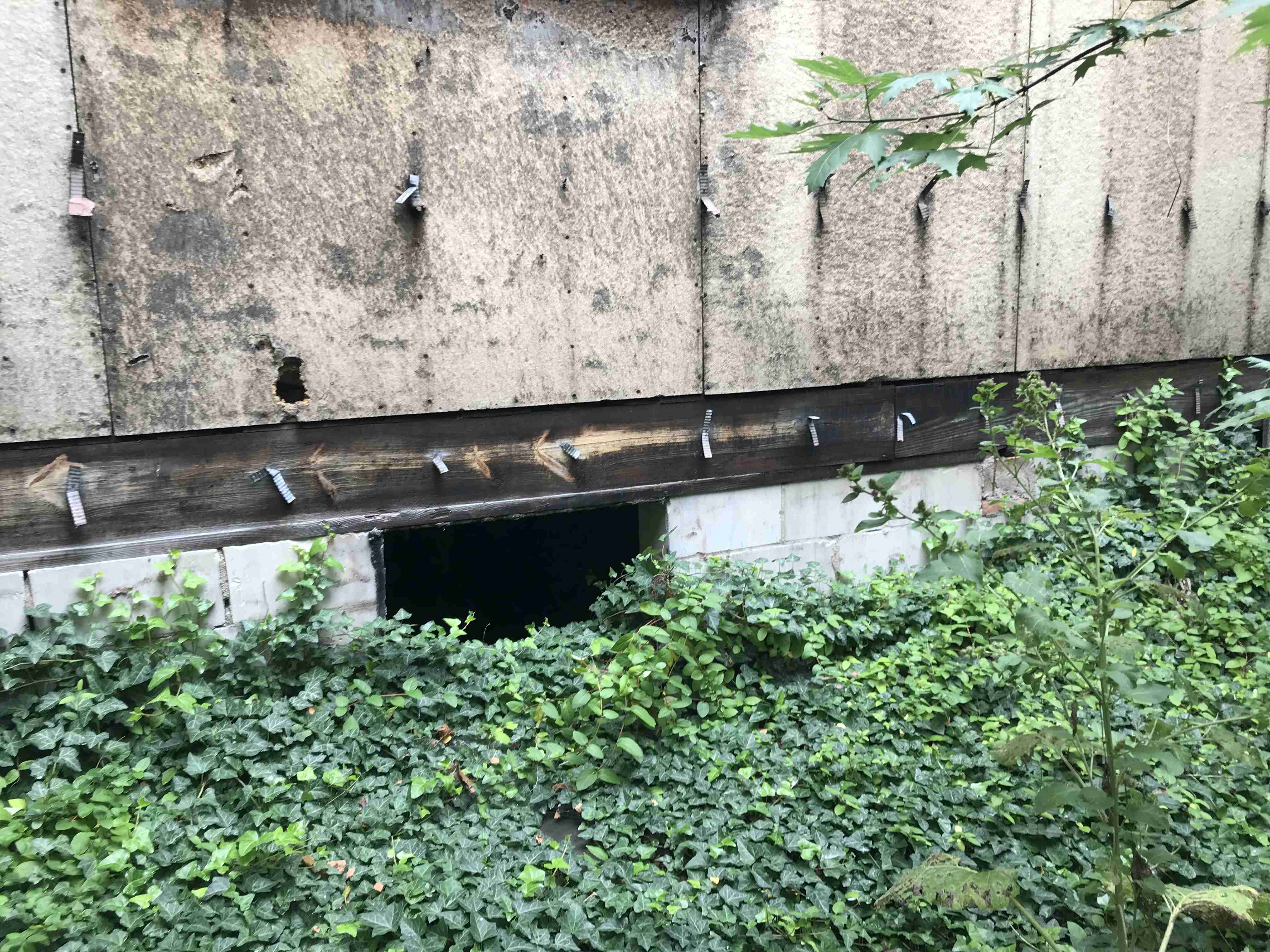 Photo Sep 10, 12 49 30 PM.jpg